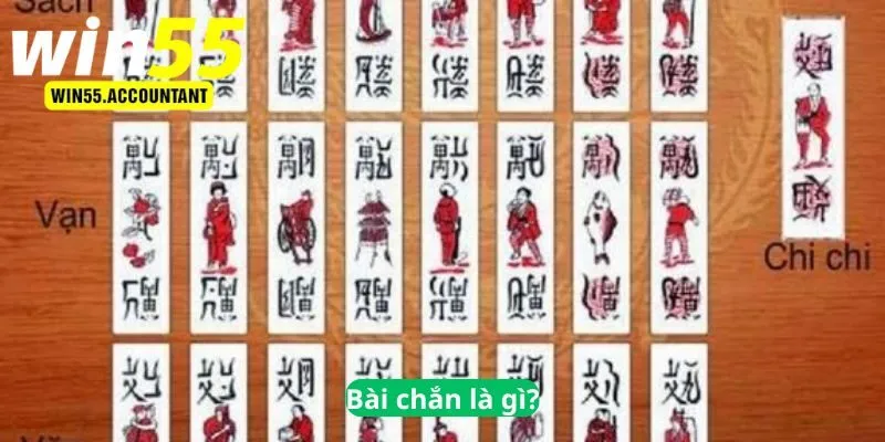 Bài chắn là gì?