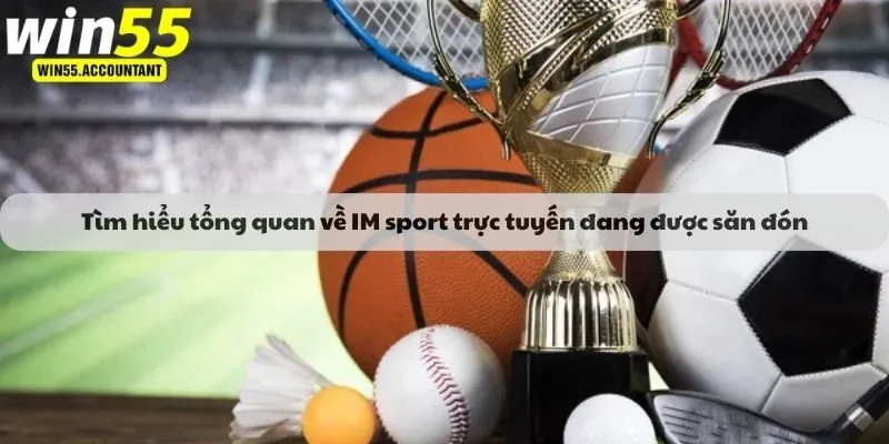 Tìm hiểu tổng quan về IM sport trực tuyến đang được săn đón