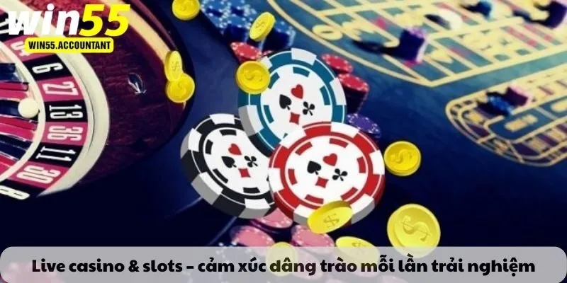 Live casino & slots – cảm xúc dâng trào mỗi lần trải nghiệm