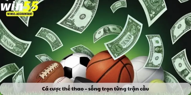 Cá cược thể thao – sống trọn từng trận cầu