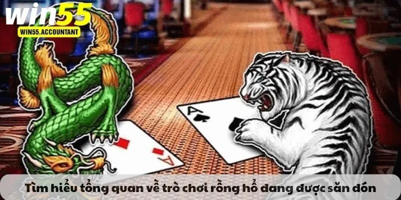 Tìm hiểu tổng quan về trò chơi rồng hổ đang được săn đón