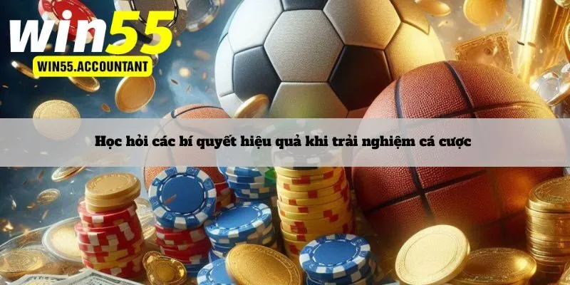 Học hỏi các bí quyết hiệu quả khi trải nghiệm cá cược