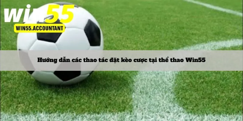 Hướng dẫn các thao tác đặt kèo cược tại thể thao Win55