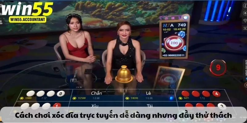 Cách chơi xóc đĩa trực tuyến dễ dàng nhưng đầy thử thách